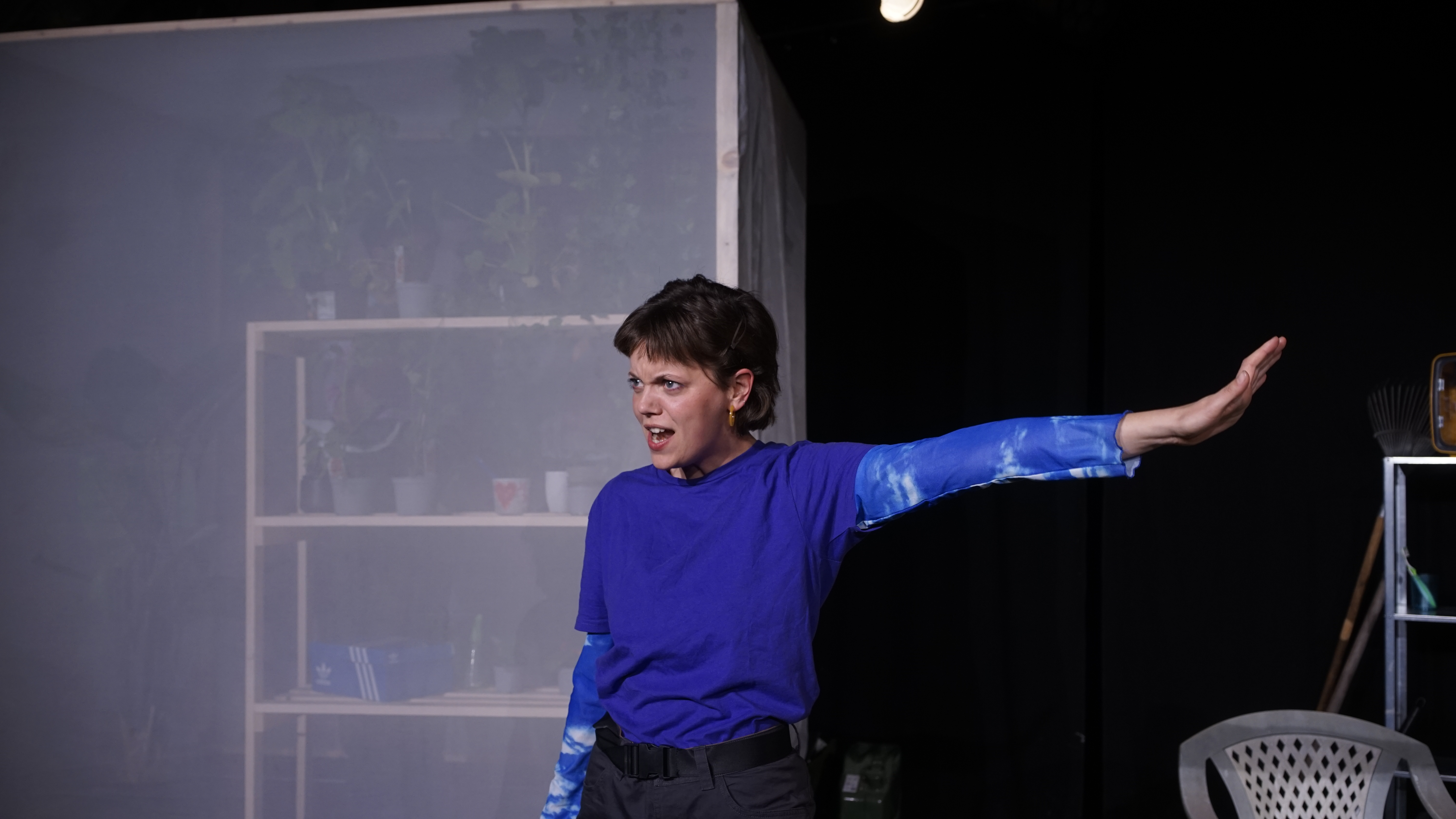 Aculaer (Wiederaufnahme)